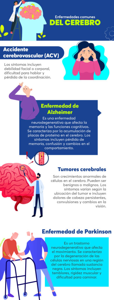 enfermedades del cerebro - Jorge Sierra